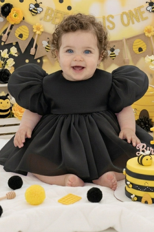 first birthday dress in black organza. 1st bee day outfit. 