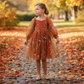 Fall Floral girl dress in burnt orange floral embroidery with long tulle sleeves and knee length style. 