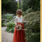 Flower Girl Dress Rust tulle Junior Bridesmaid